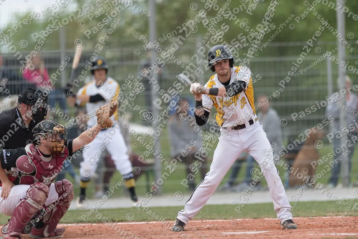 mf_HDBR_20180501_0769