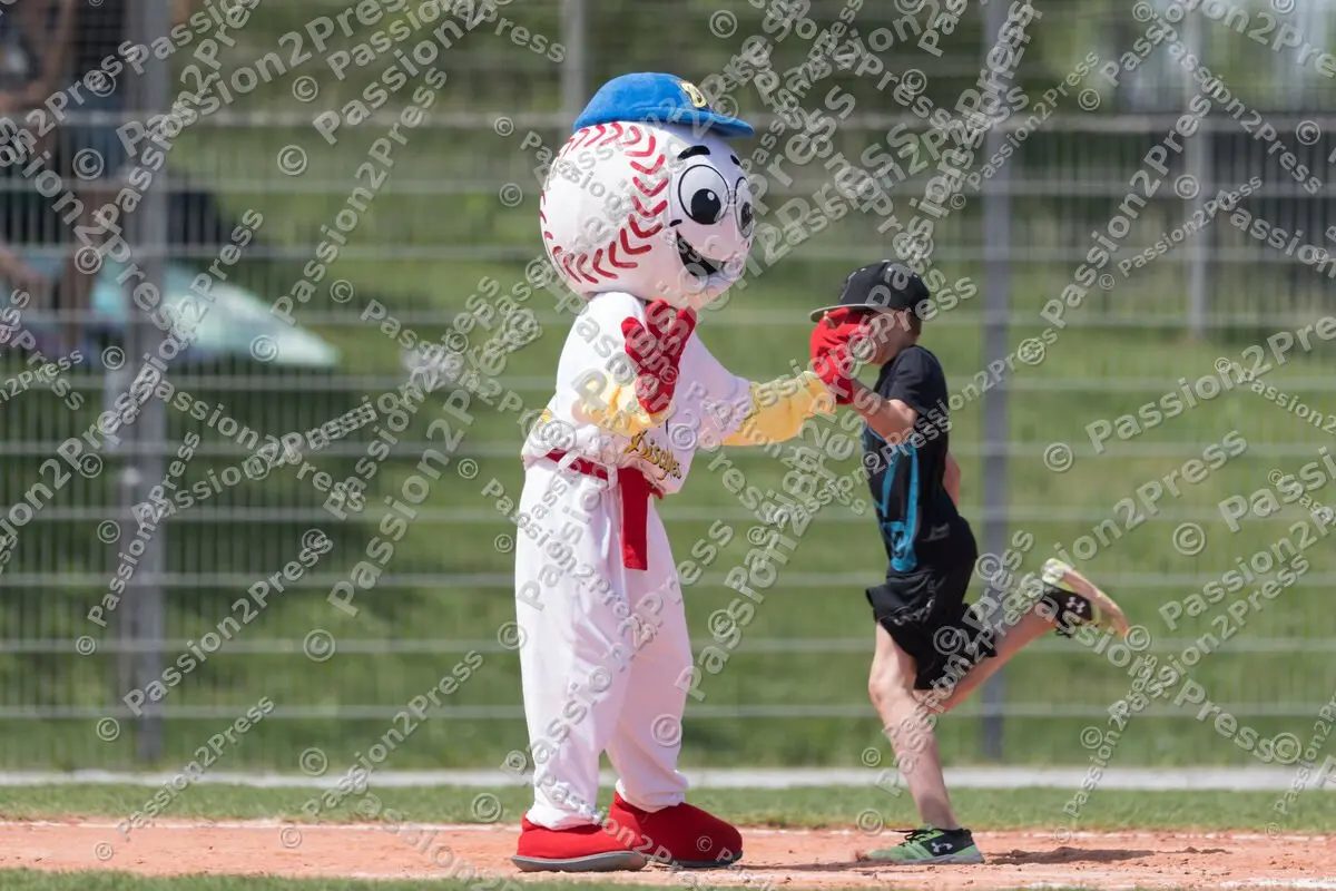 mf_HDSR_20180526_0279