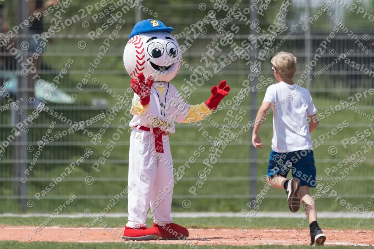 mf_HDSR_20180526_0285