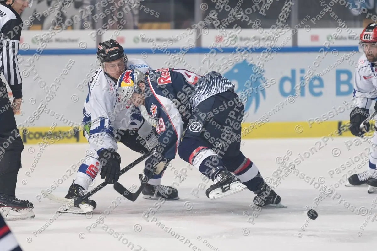 mf_RBMSR_20180916_0380