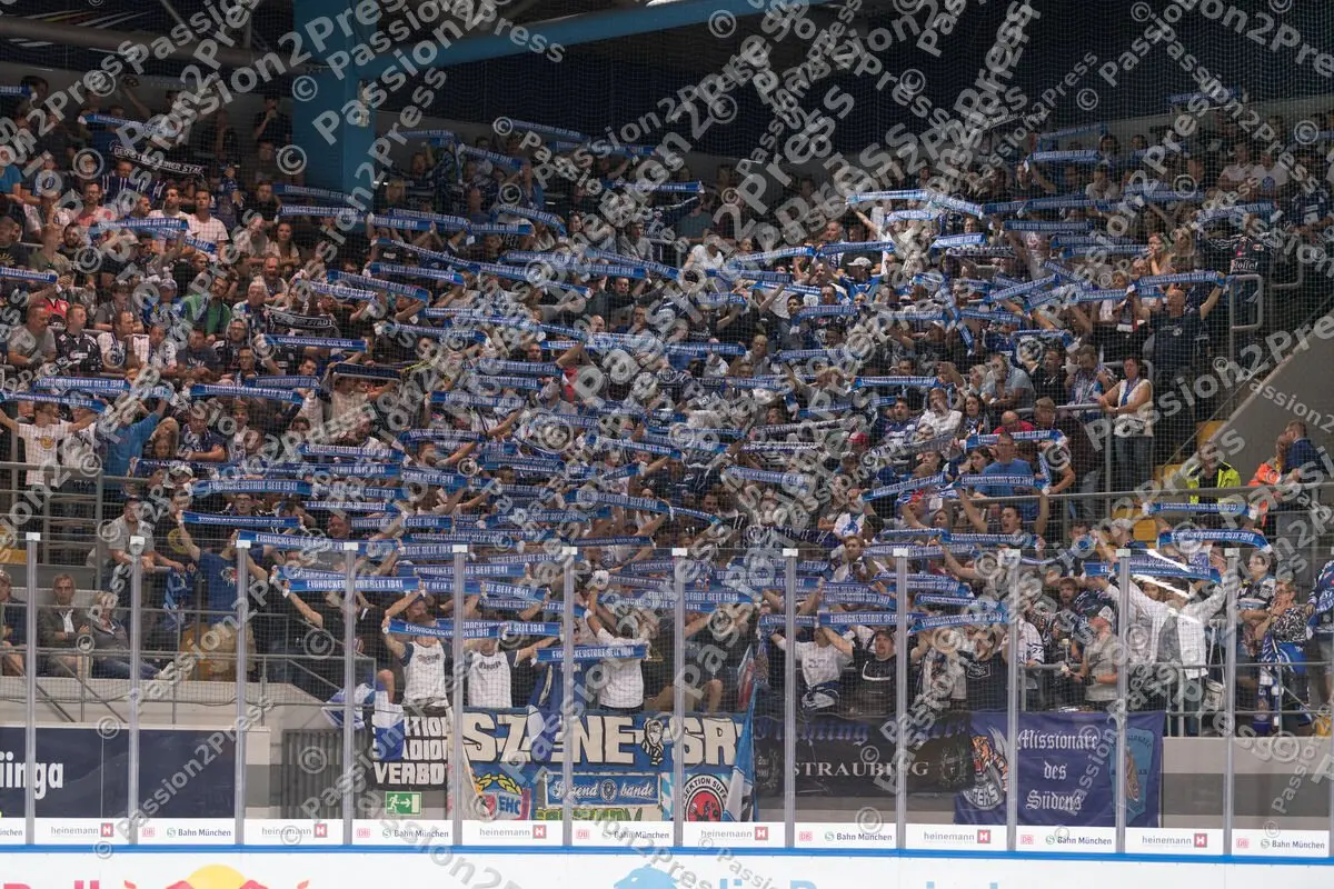 mf_RBMSR_20180916_1024