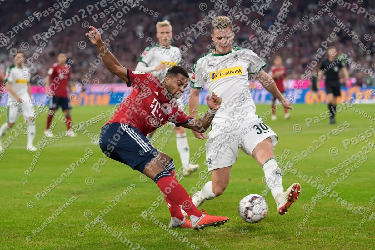 mf_FCBBMG_20181006_0667