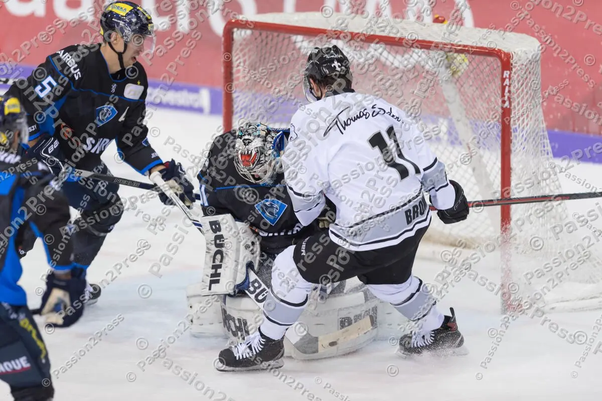 INGNIT_20181102_0830