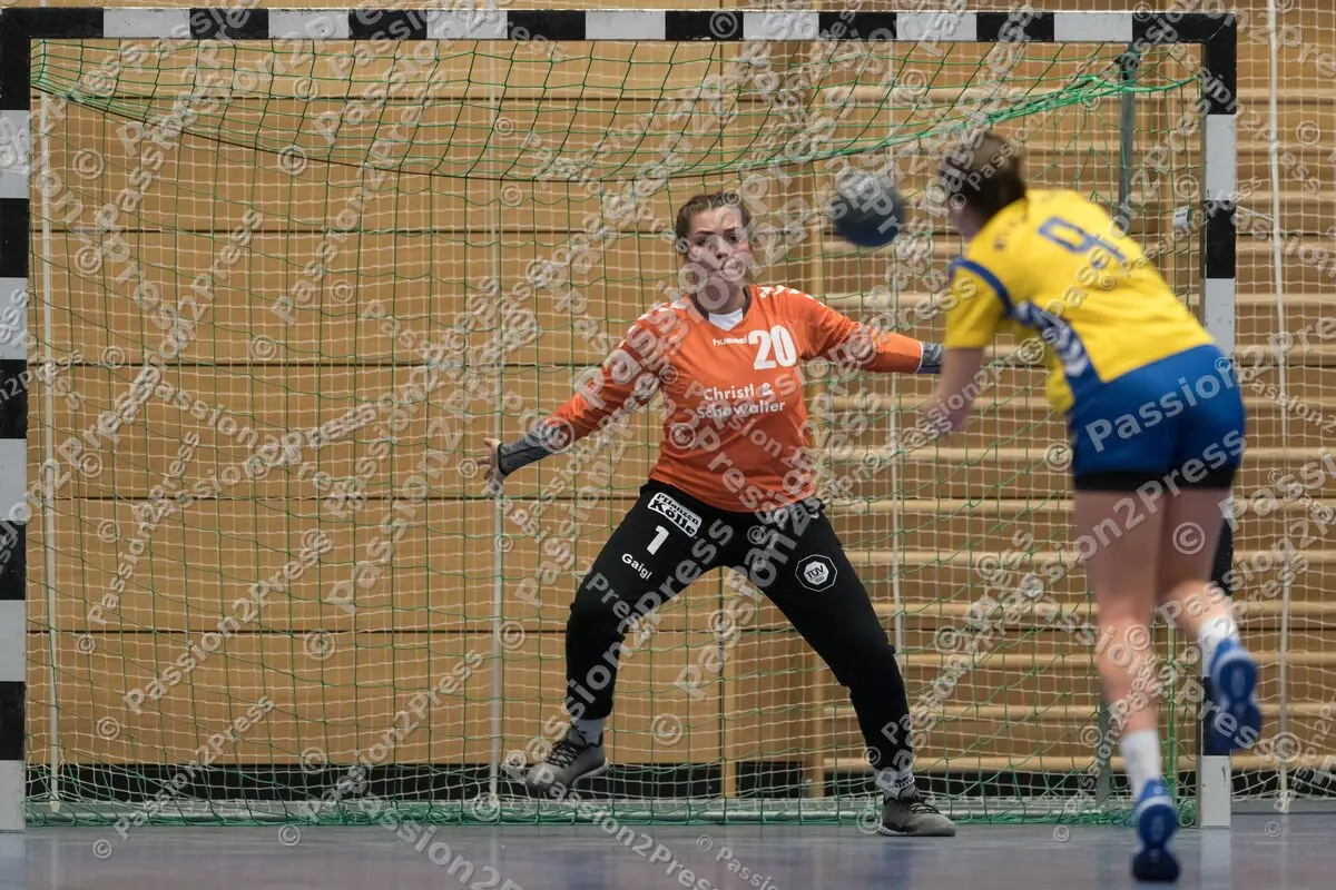 HT_MUC_20190202_0488