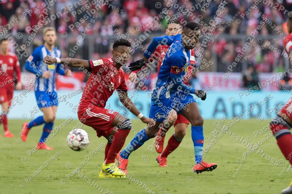 FCBBSC_20190223_0787