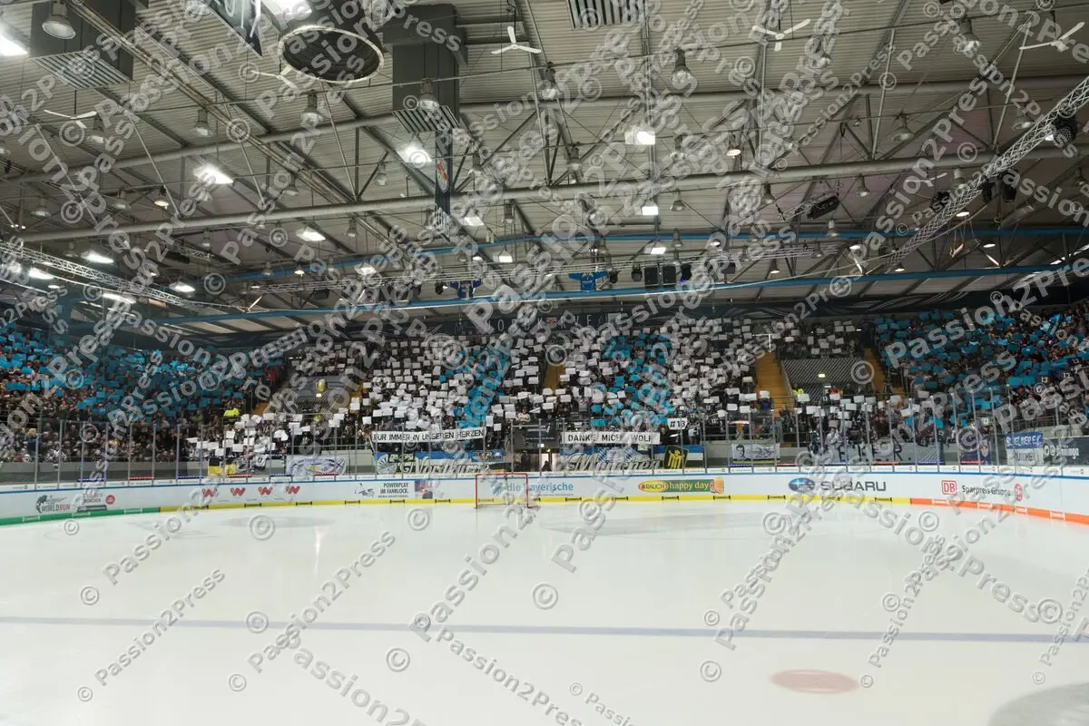 RBMBHV_20190303_0489