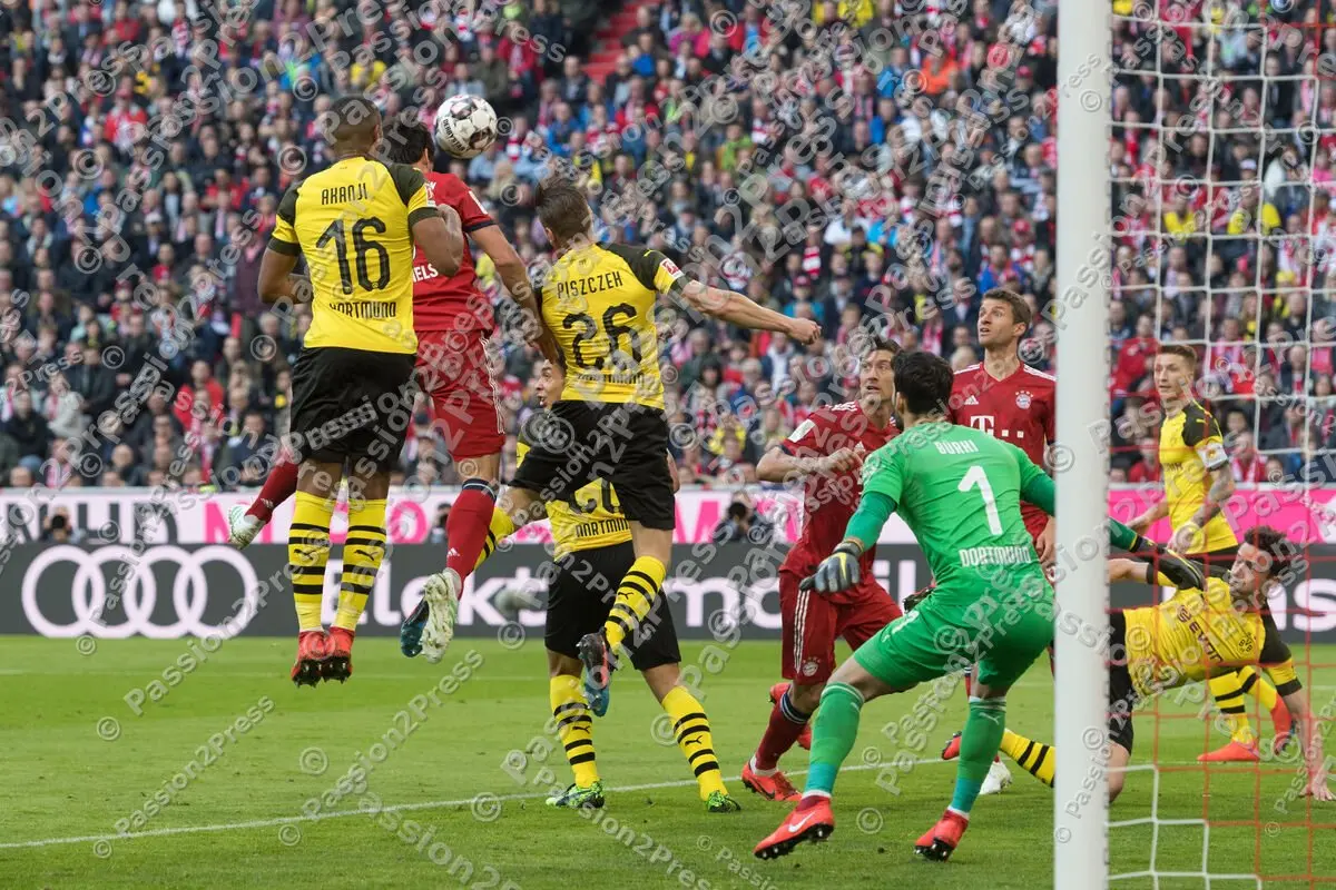 FCBBVB_20190406_0271
