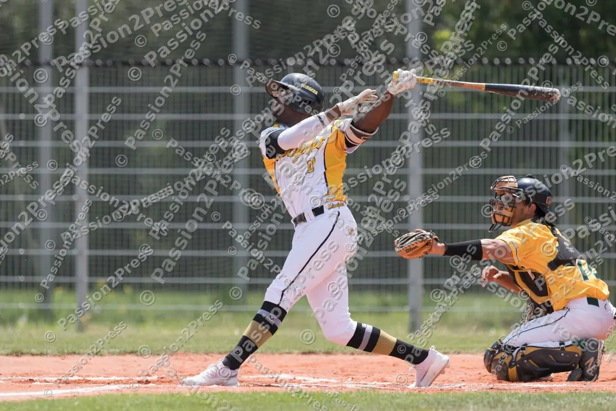 20190706 München Haar Disciples - Saarlouis Hornets