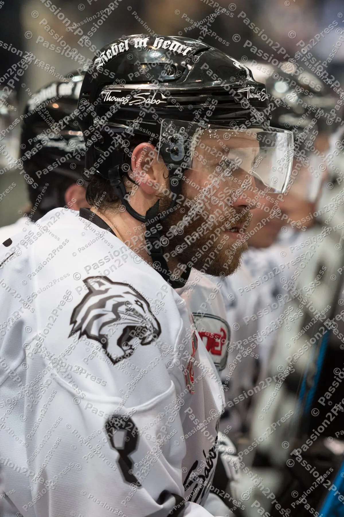 mf_RBMTSIT_20170115_0796