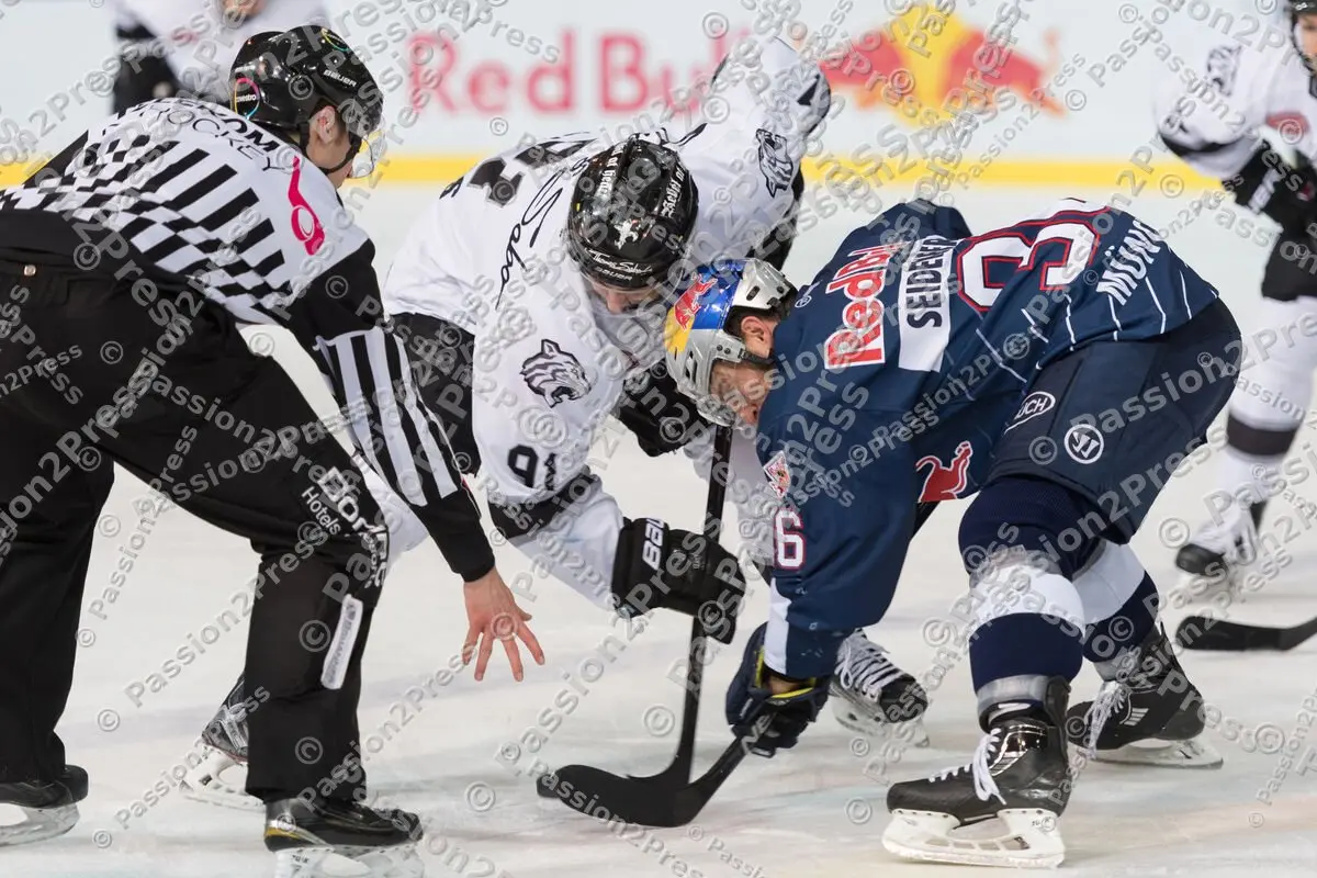 mf_RBMTSIT_20170115_1469