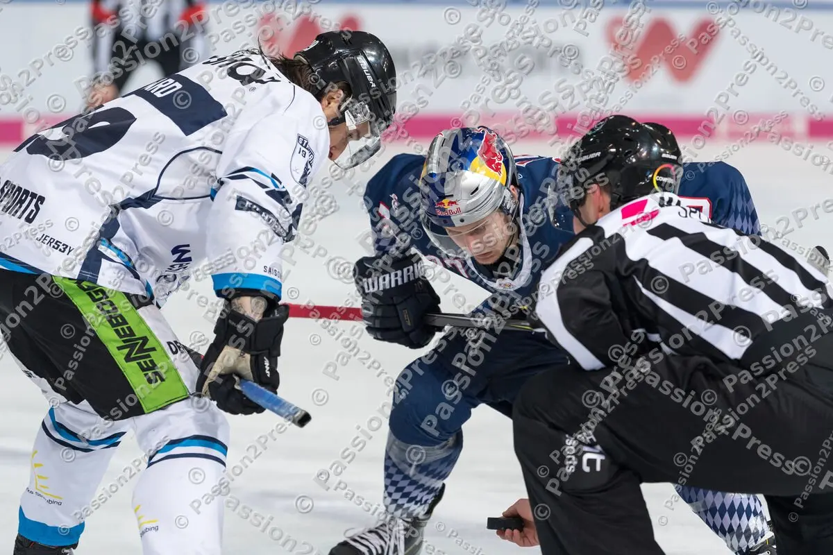 20191129 EHC Red Bull München - Straubing Tigers