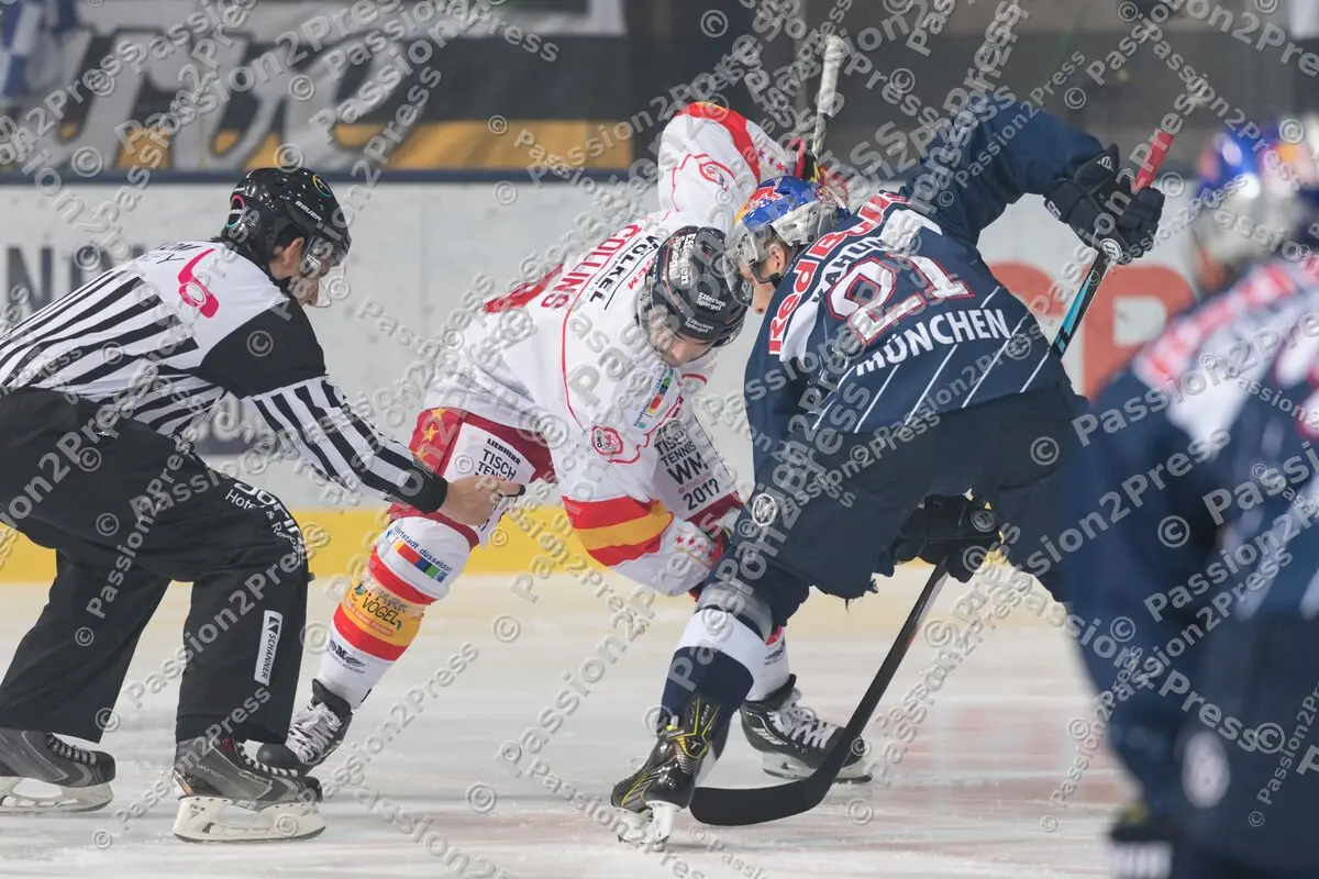 mf_RBMDEG_20170205_0009