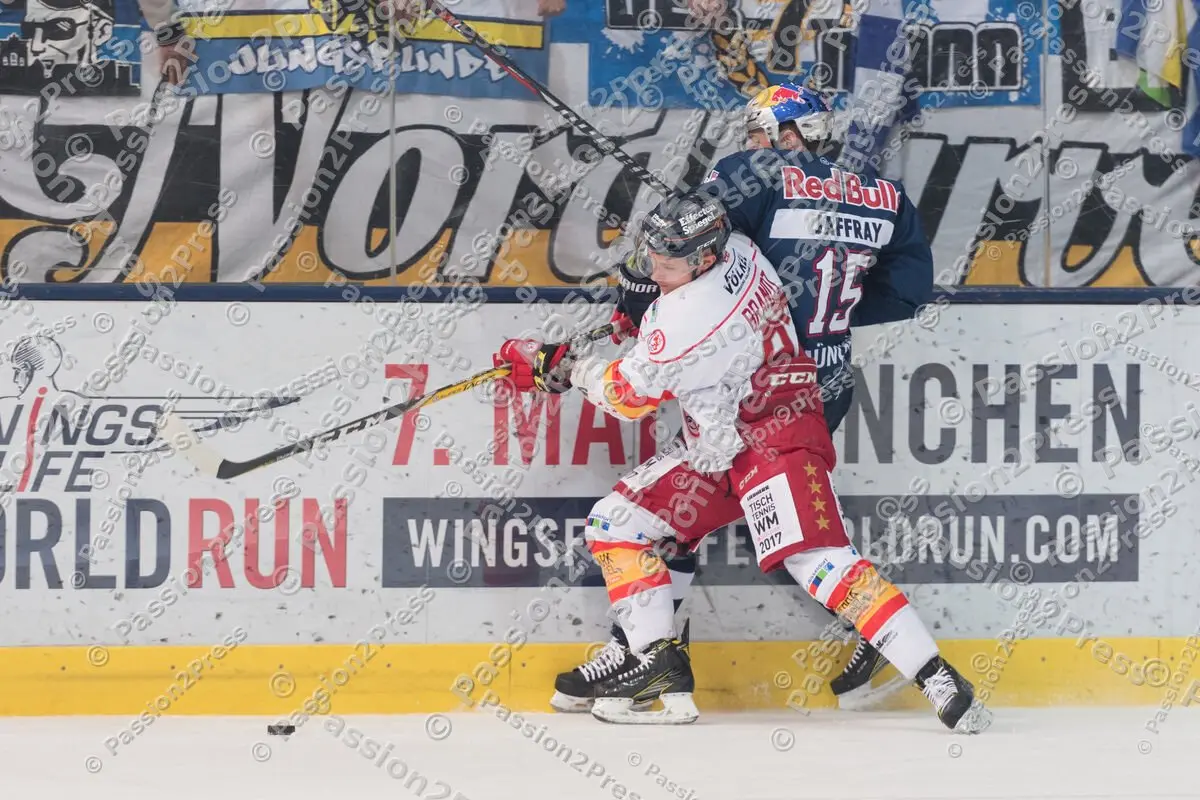 mf_RBMDEG_20170205_0264