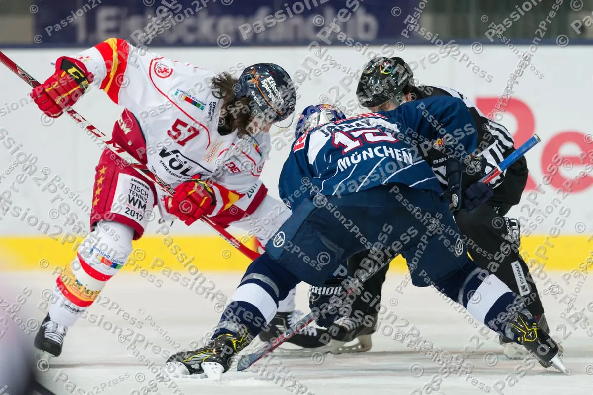 mf_RBMDEG_20170205_0387