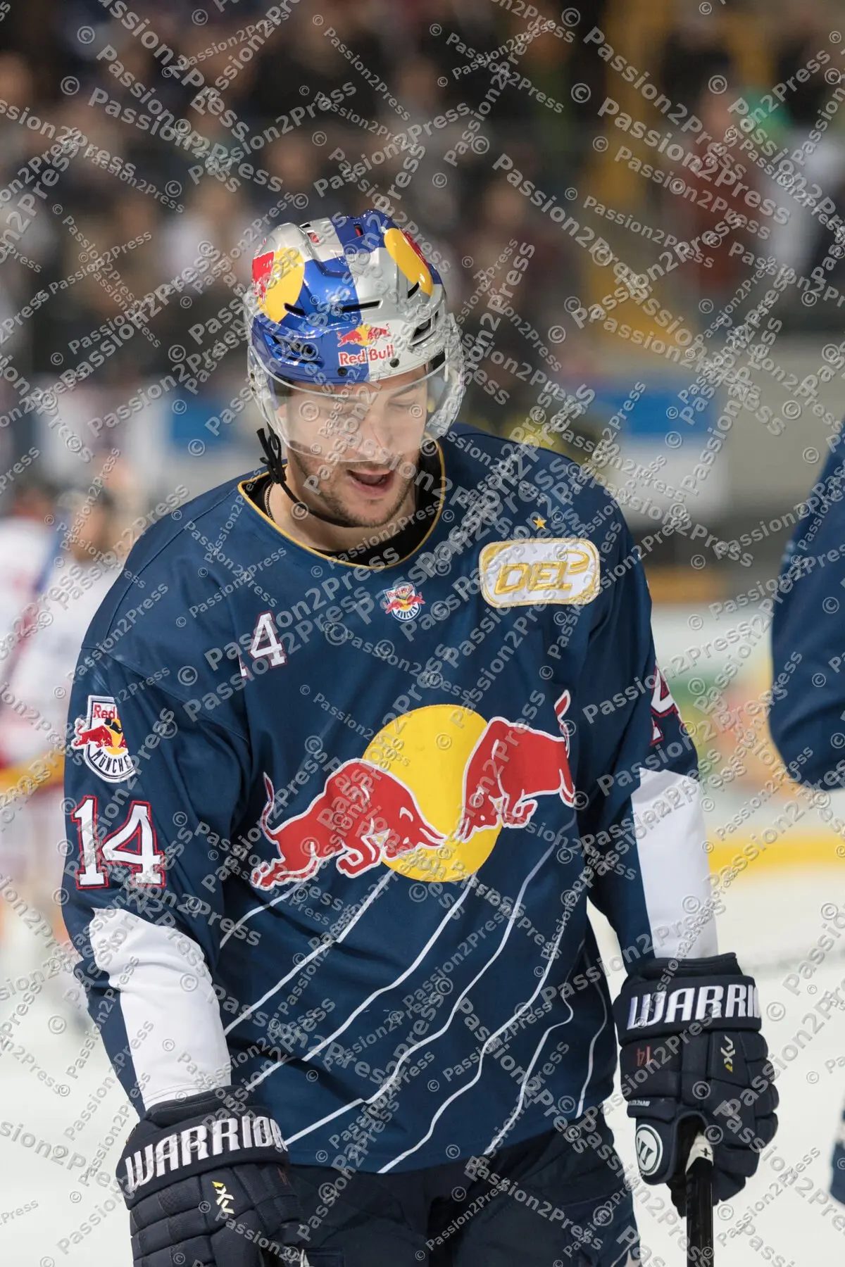 mf_RBMDEG_20170205_0593-2