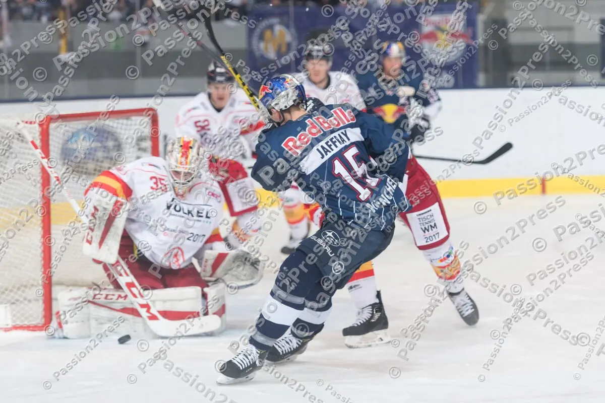 mf_RBMDEG_20170205_1481