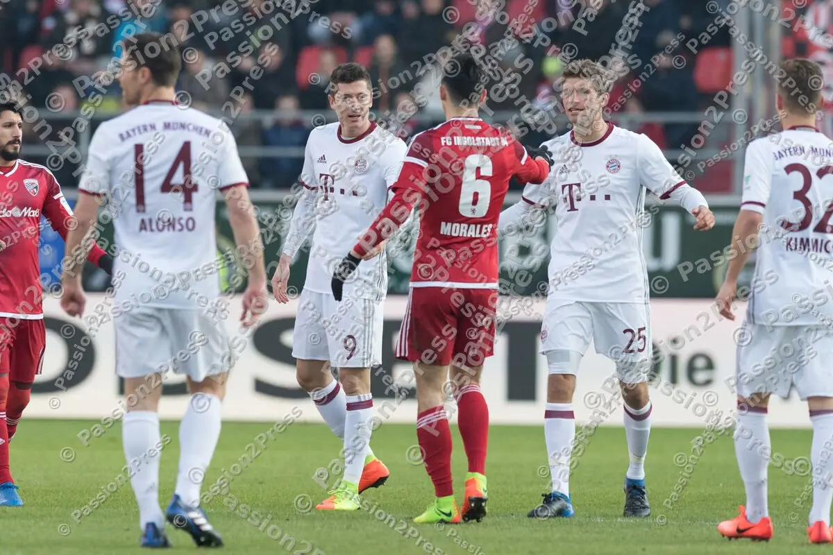 mf_FCIFCB_20170211_0247