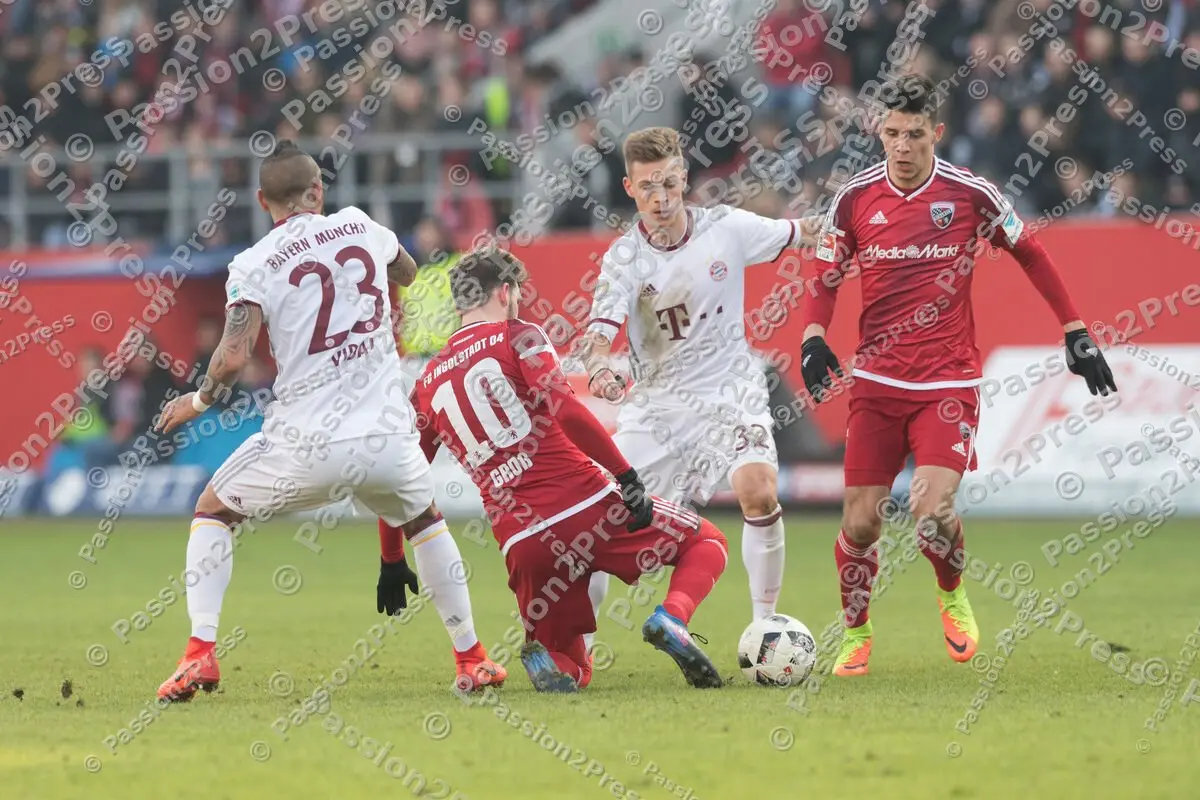 mf_FCIFCB_20170211_0502