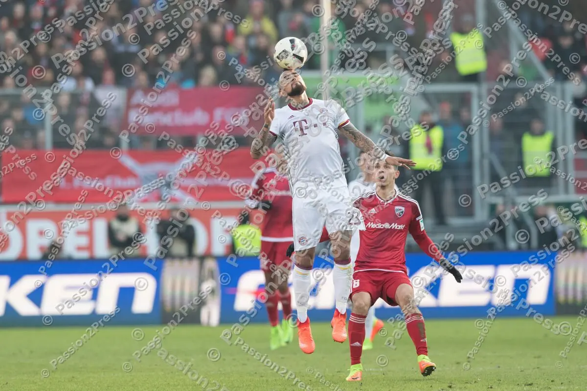 mf_FCIFCB_20170211_0562