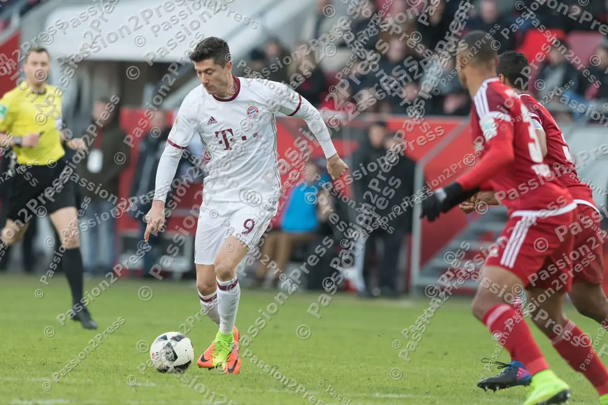 mf_FCIFCB_20170211_0805