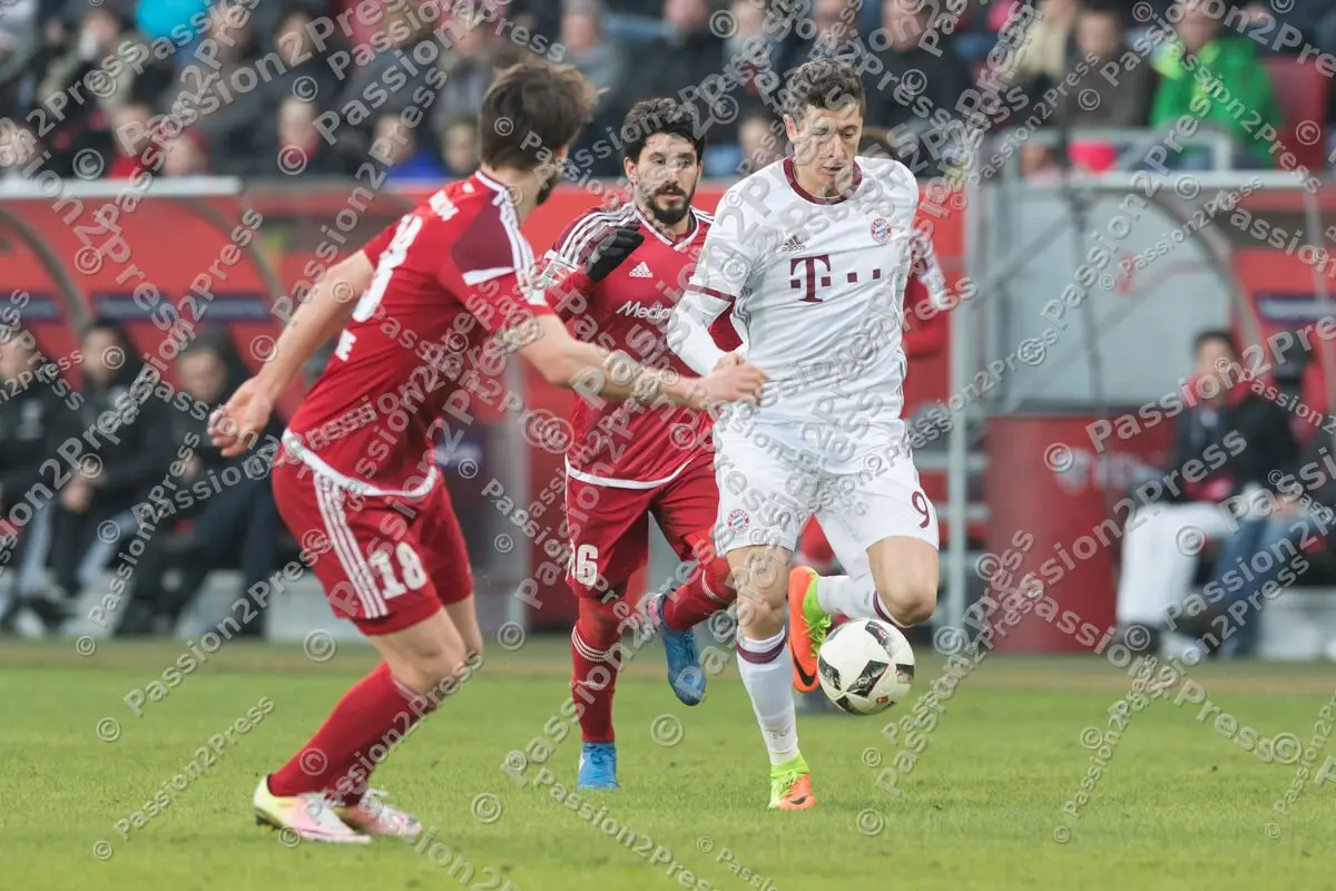 mf_FCIFCB_20170211_0920