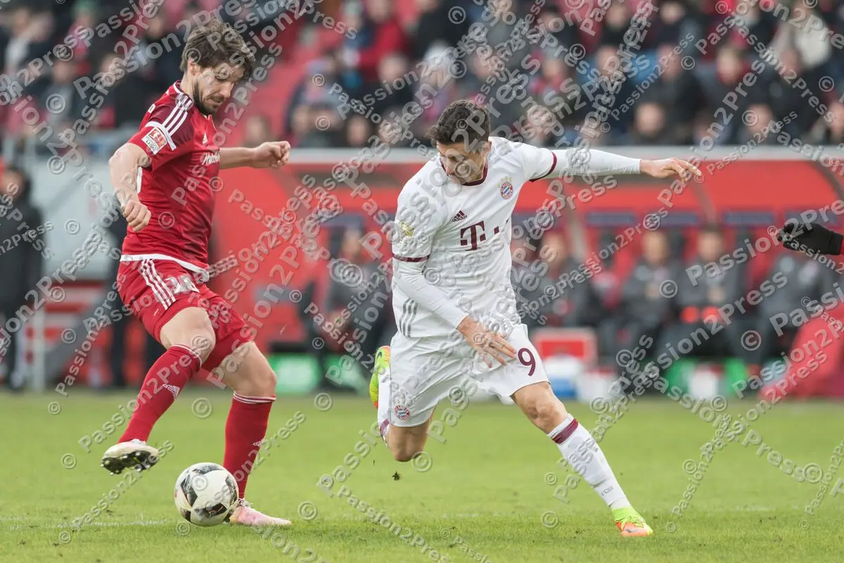 mf_FCIFCB_20170211_0946