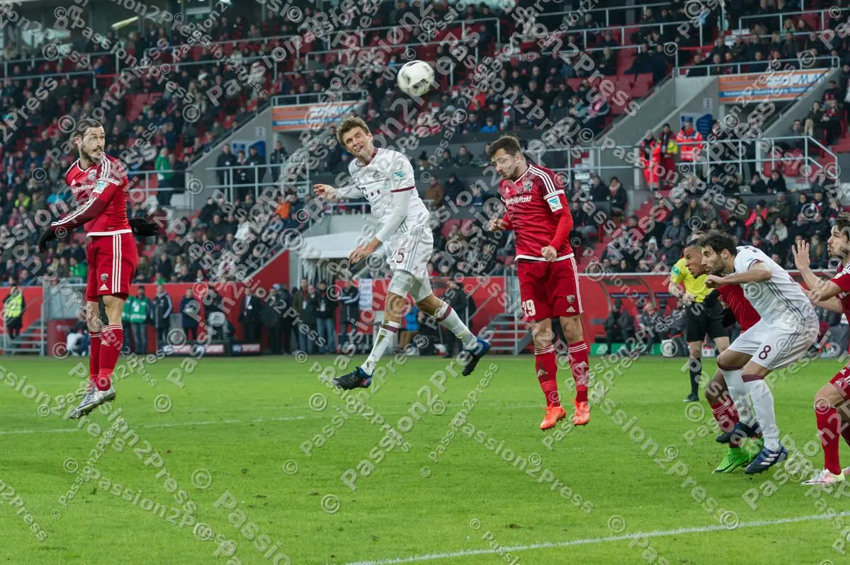 mf_FCIFCB_20170211_0954