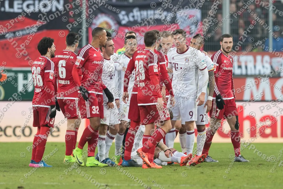 mf_FCIFCB_20170211_0998