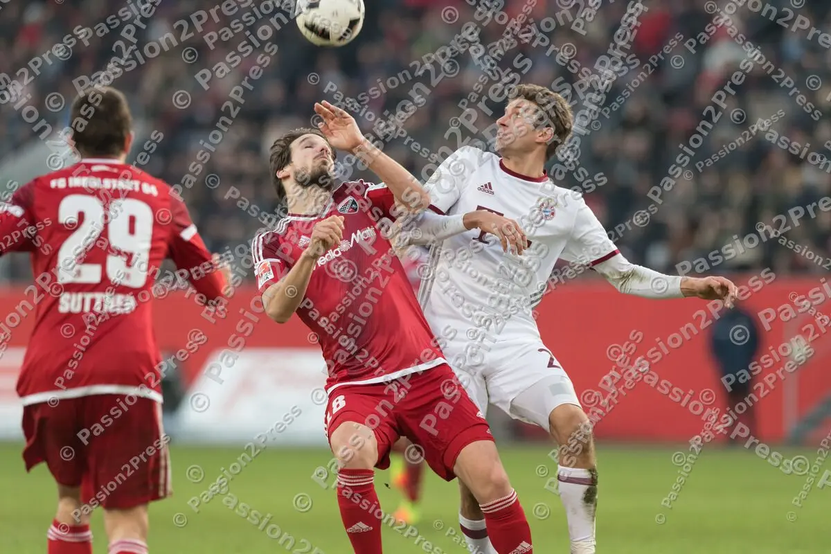 mf_FCIFCB_20170211_1124