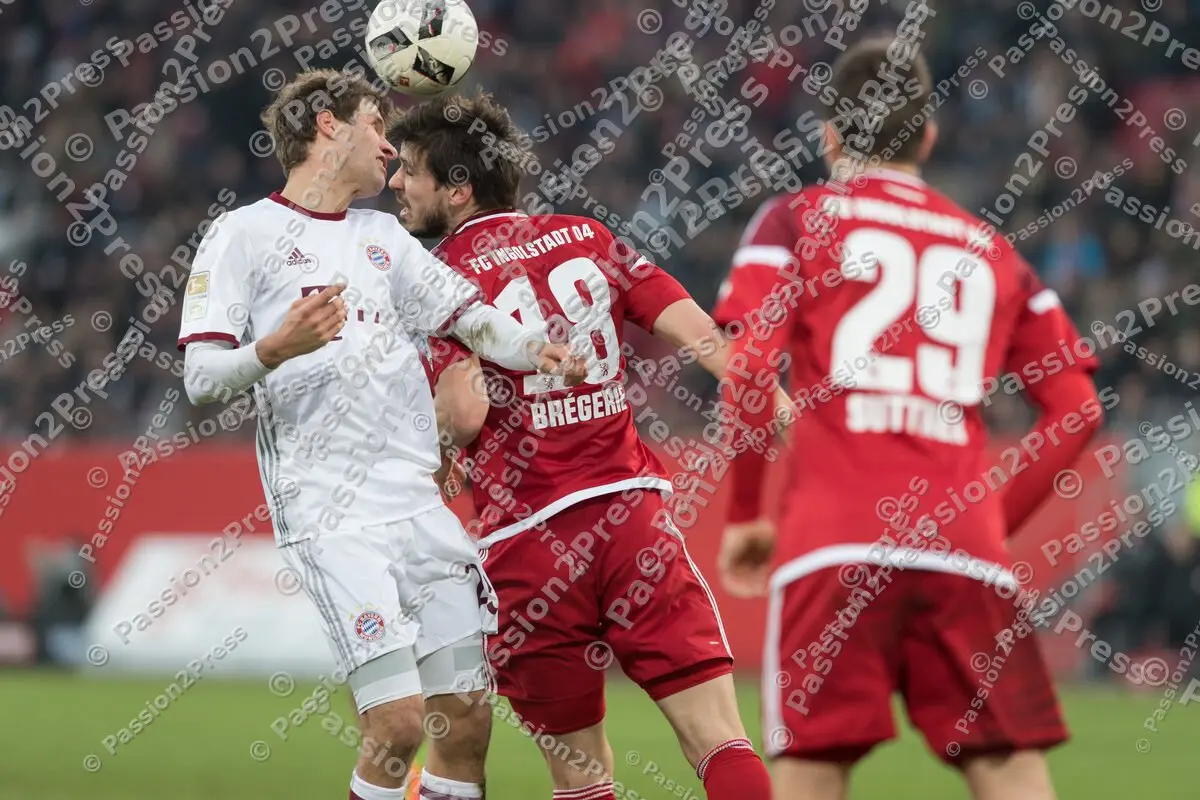 mf_FCIFCB_20170211_1129