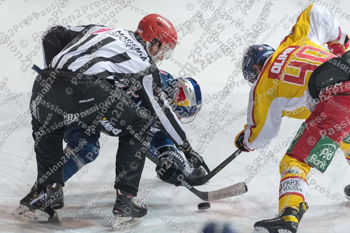 RBMDEG_20201211_0509