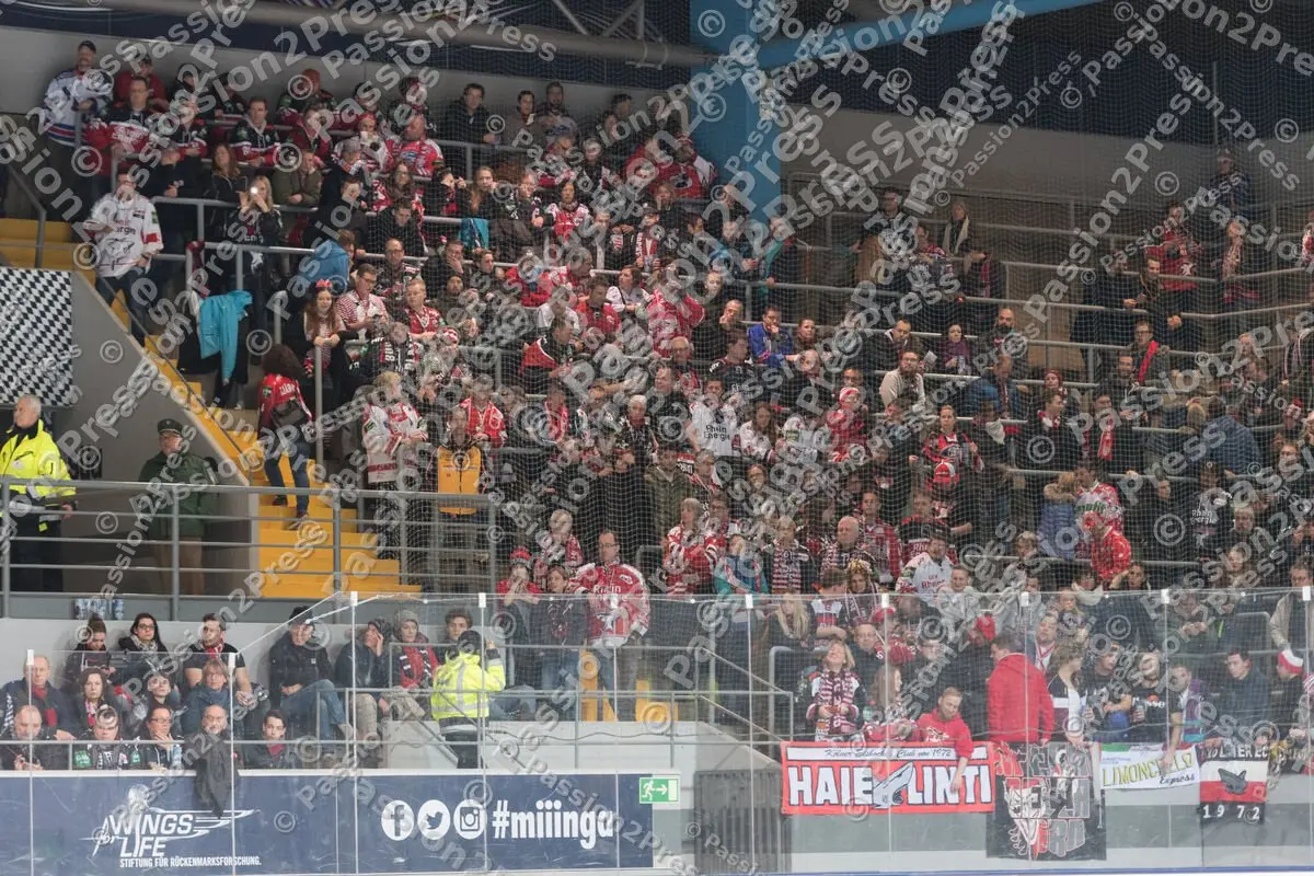 mf_RBMKEC_20170224_1801