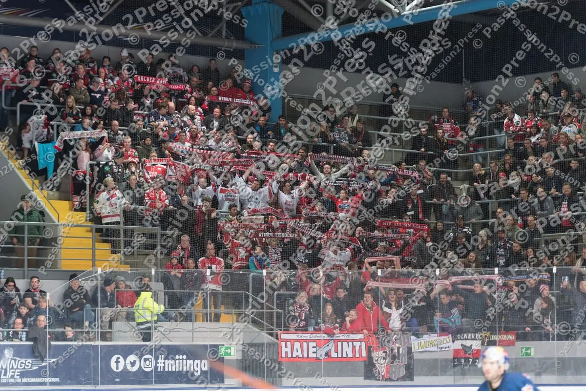 mf_RBMKEC_20170224_2141