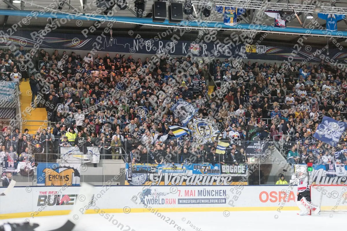 mf_RBMKEC_20170224_2173