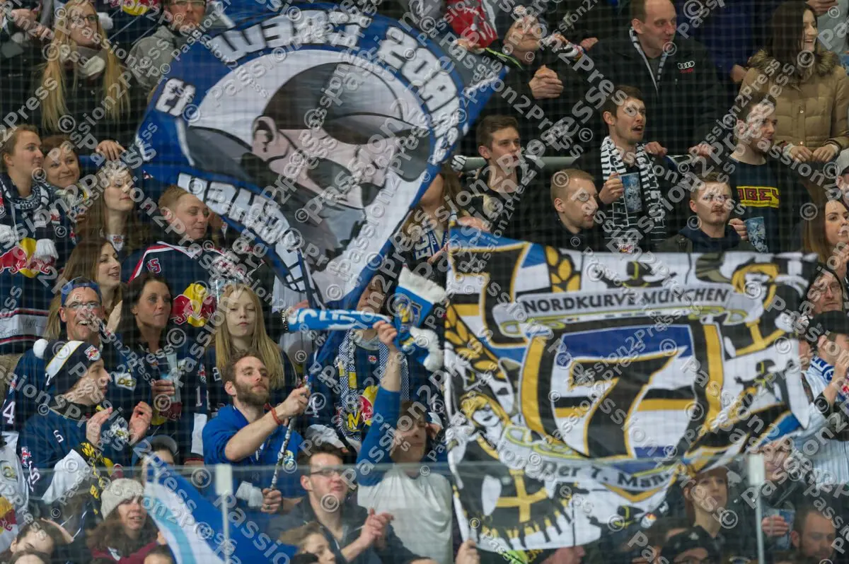 mf_RBMKEC_20170224_2221