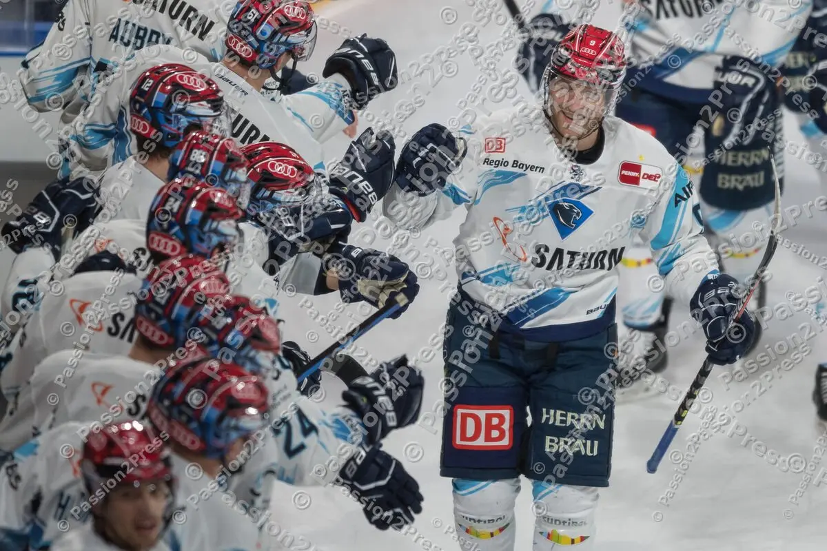 NBGERCI_20210314_1465