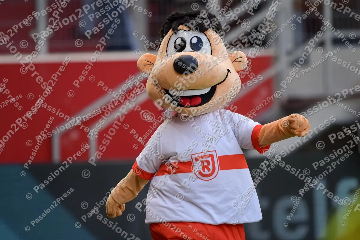 SSVFCN_20210912_0462