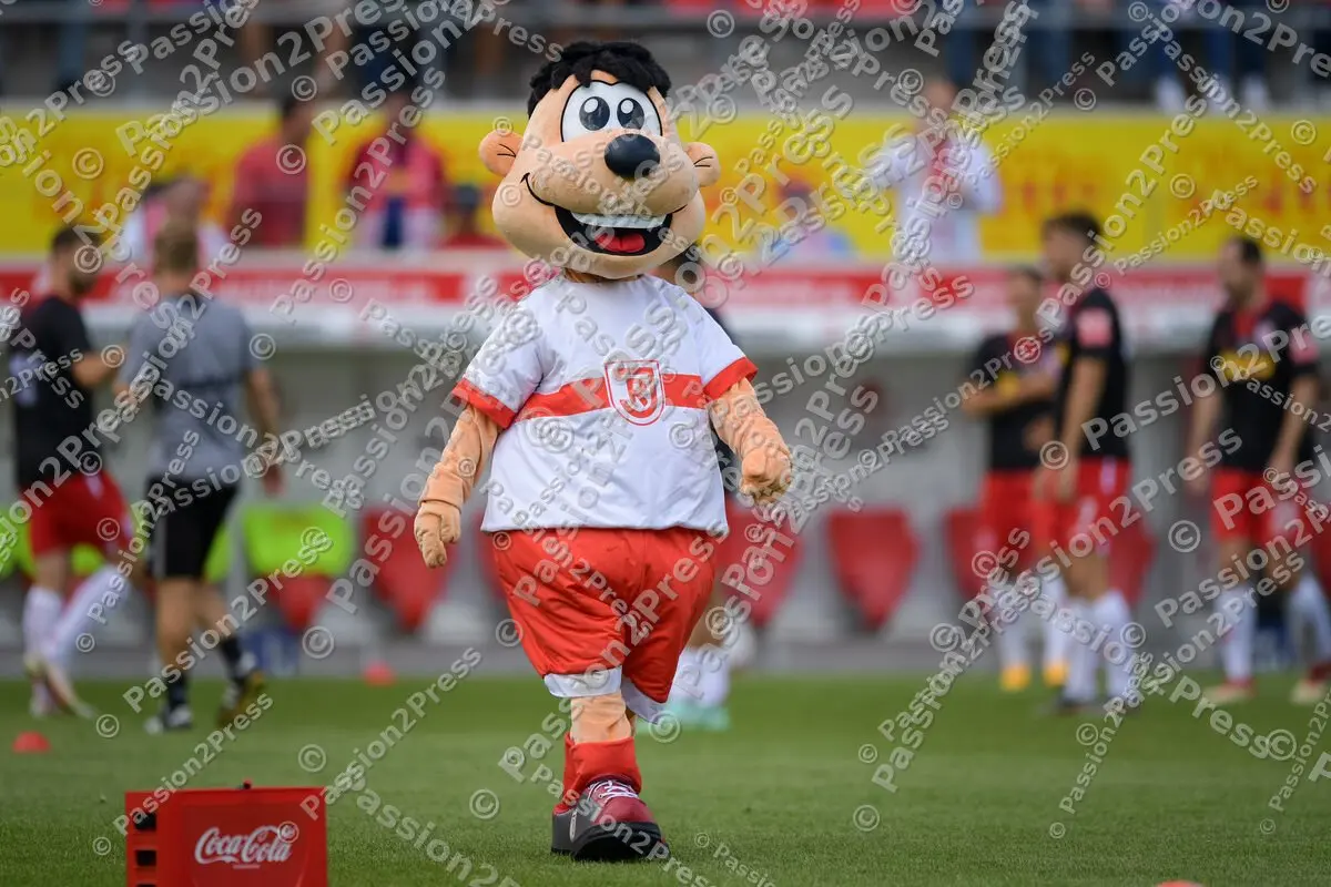 SSVFCN_20210912_0482