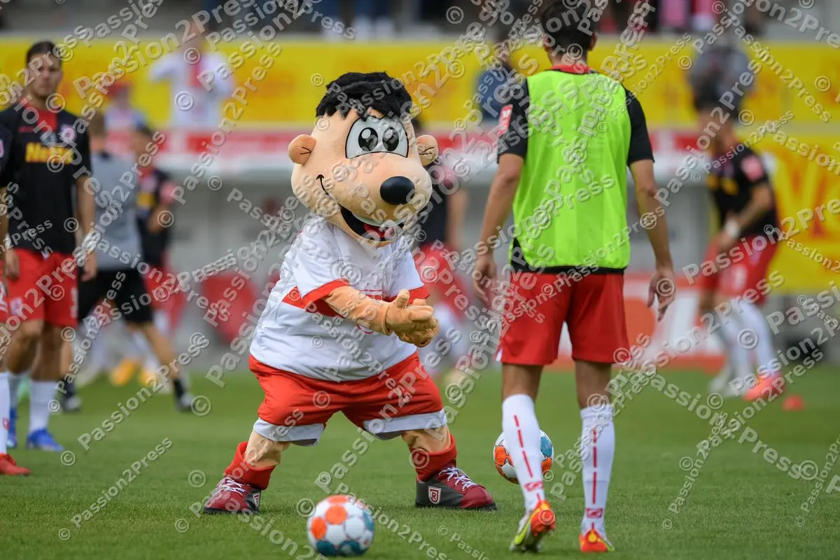 SSVFCN_20210912_0486