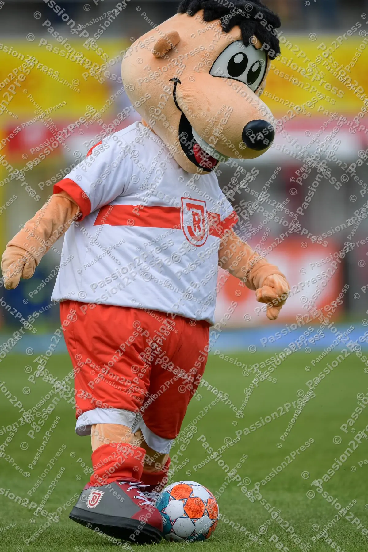 SSVFCN_20210912_0503