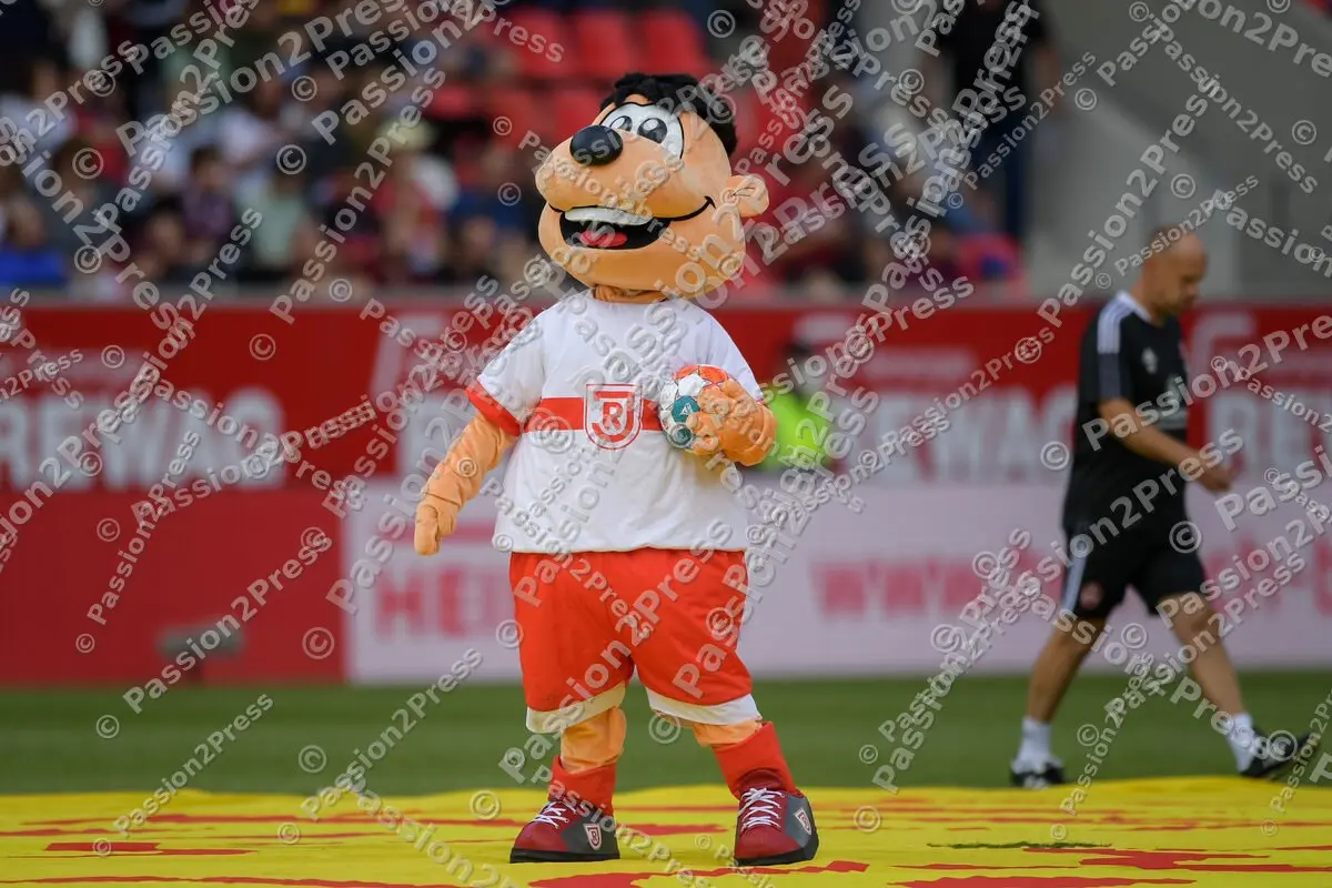 SSVFCN_20210912_0504