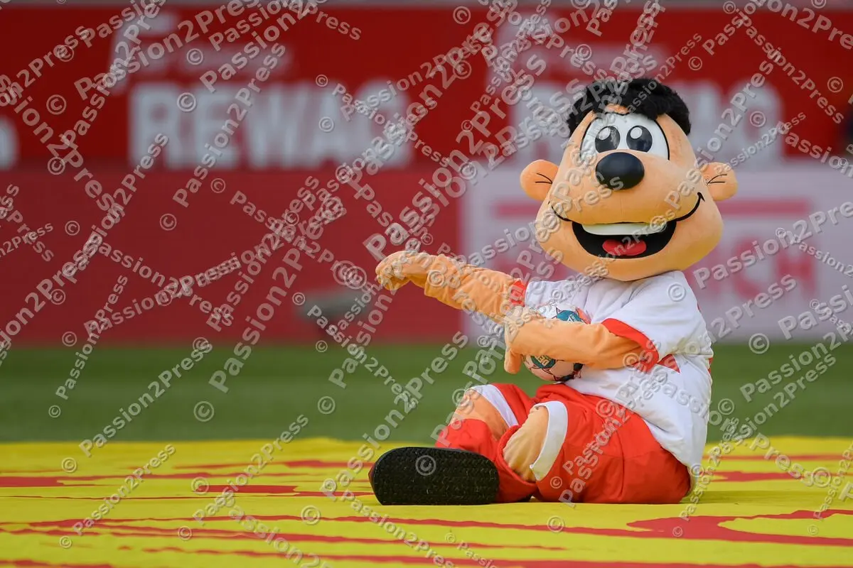 SSVFCN_20210912_0511
