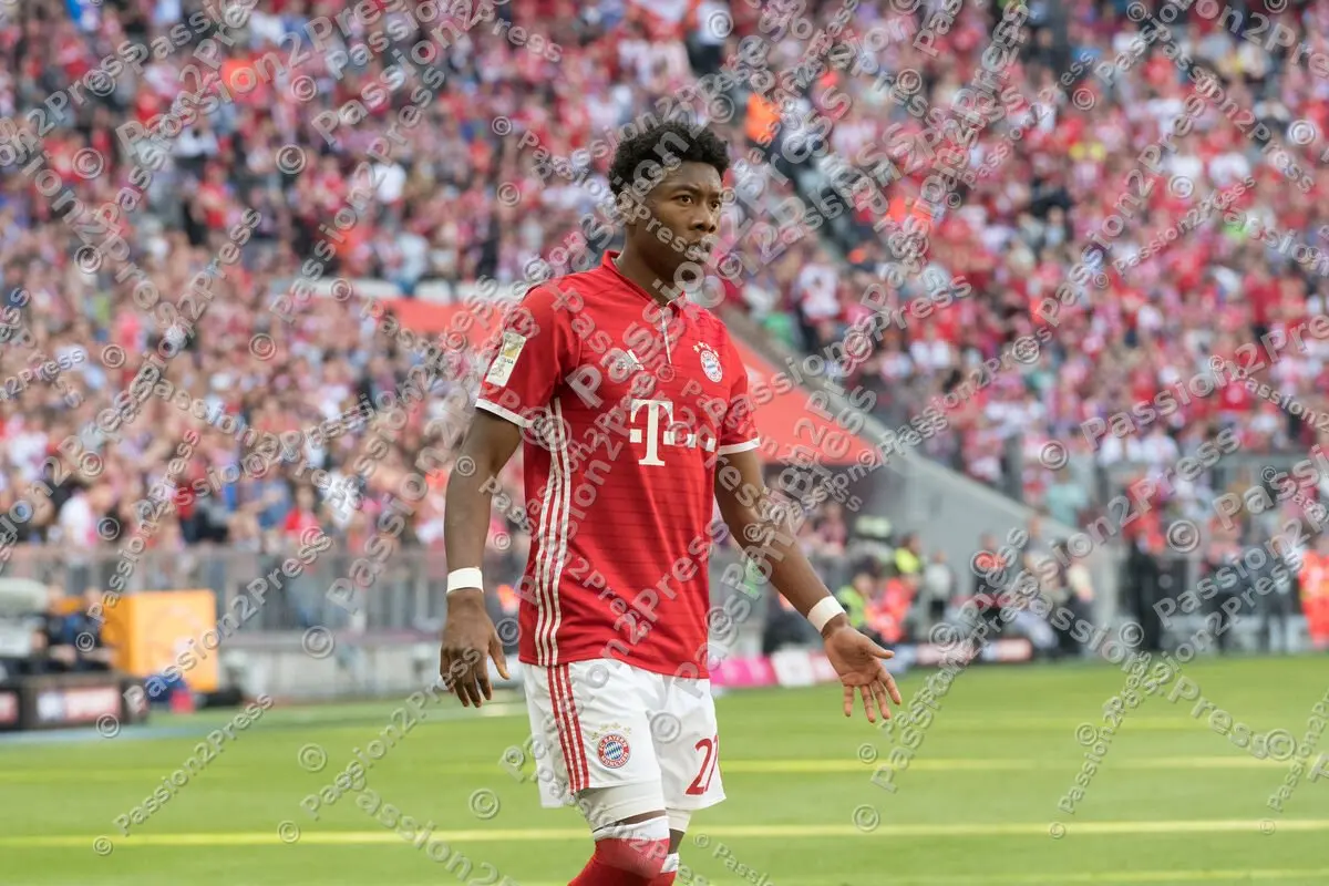 mf_FCBD98_20170506_0669