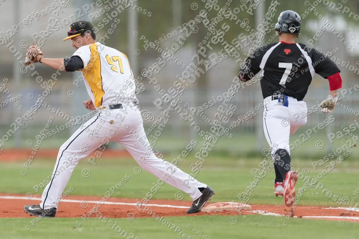 mf_MHDMT_20170512_0152