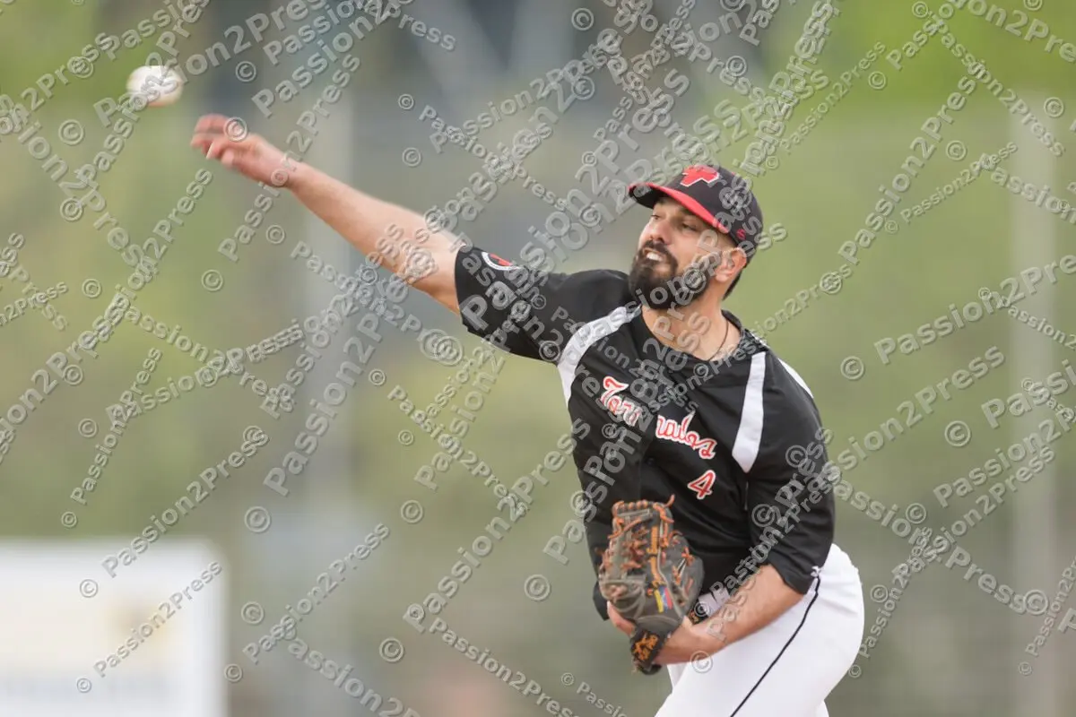 mf_MHDMT_20170512_0164