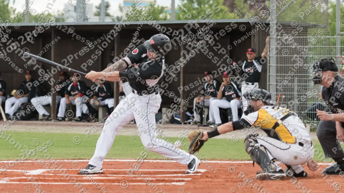 mf_MHDMT_20170512_0362