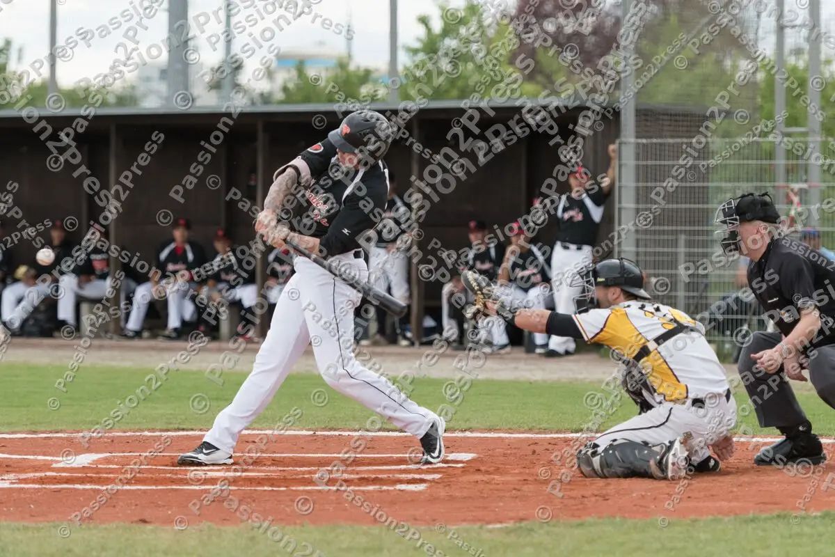 mf_MHDMT_20170512_0369