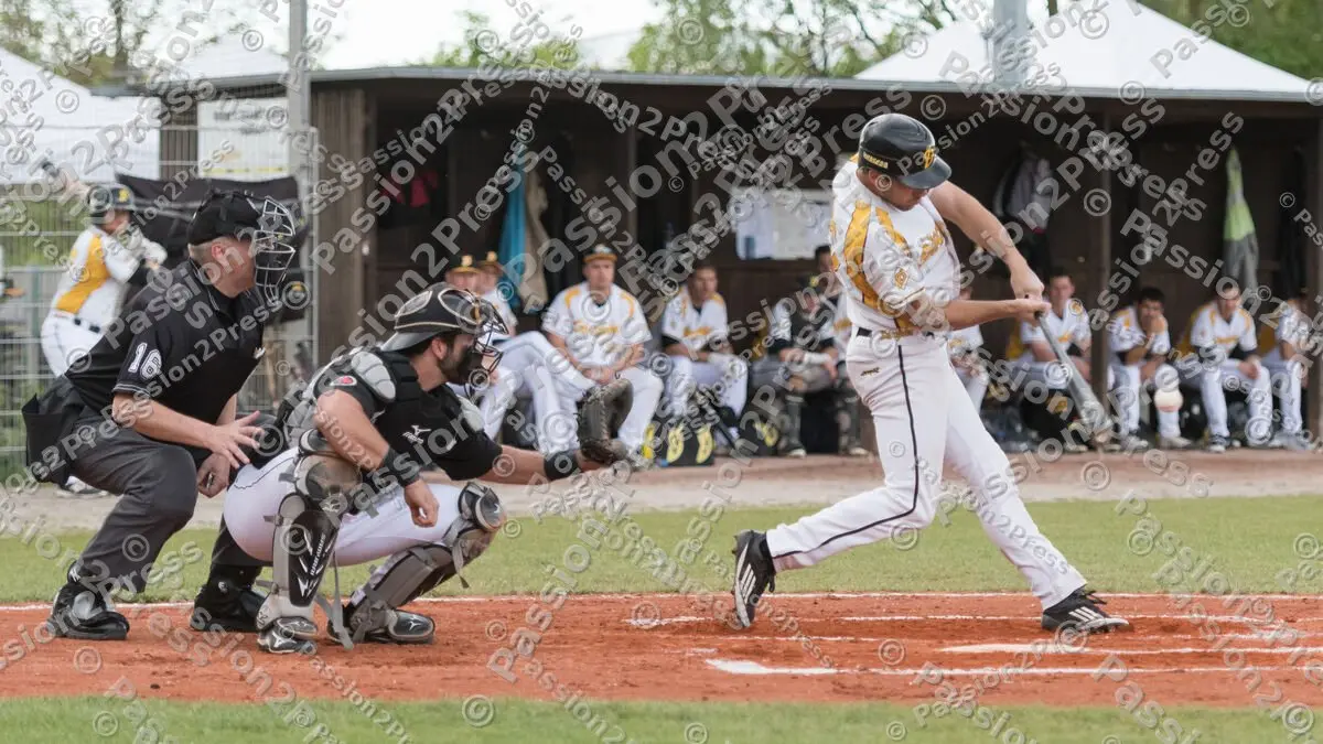 mf_MHDMT_20170512_0421