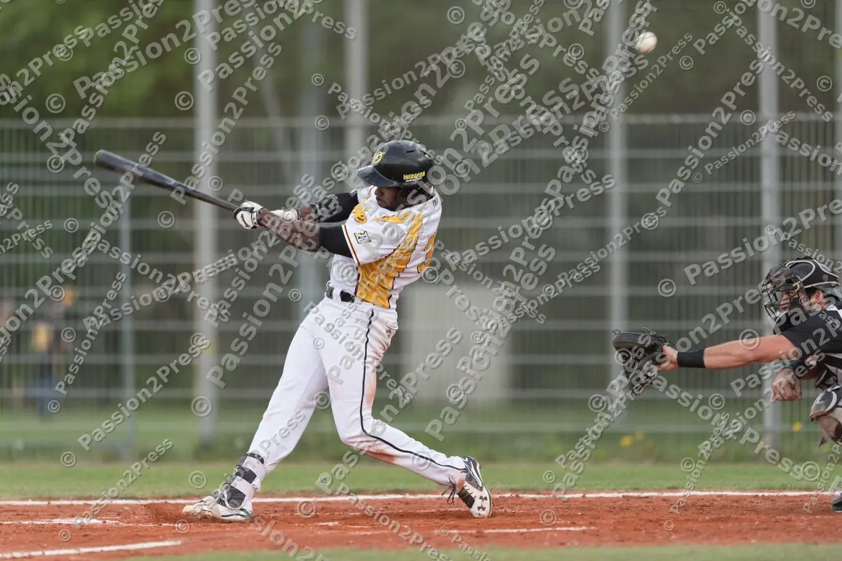 mf_MHDMT_20170512_0471