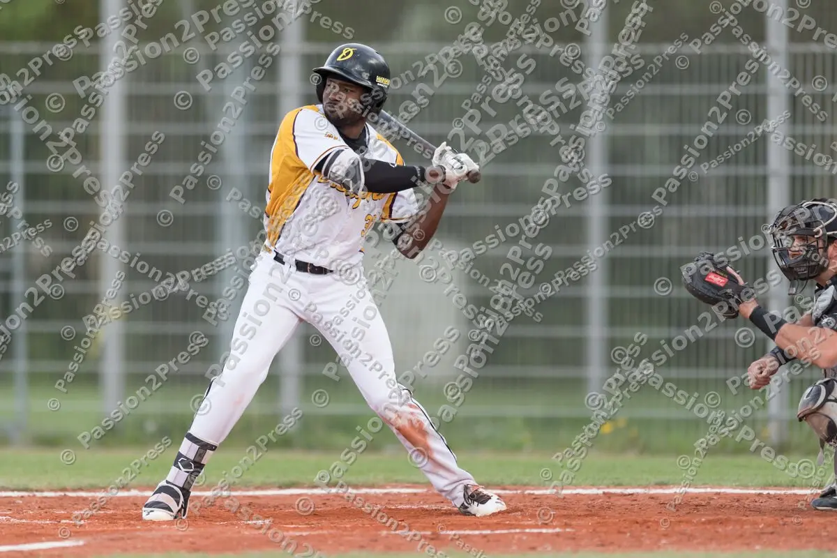 mf_MHDMT_20170512_0487